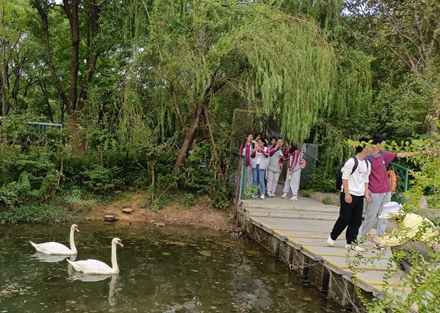 IMG_20241012_101730_副本.jpg