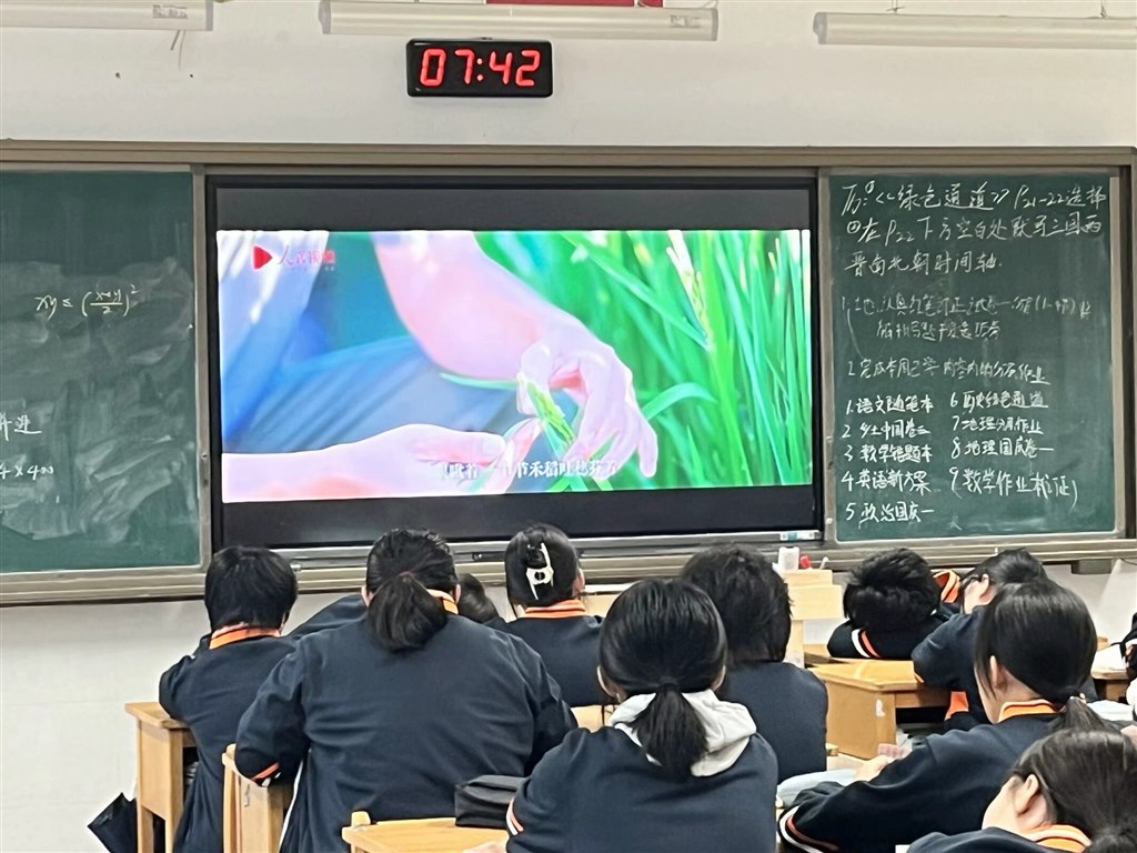 11.jpeg
