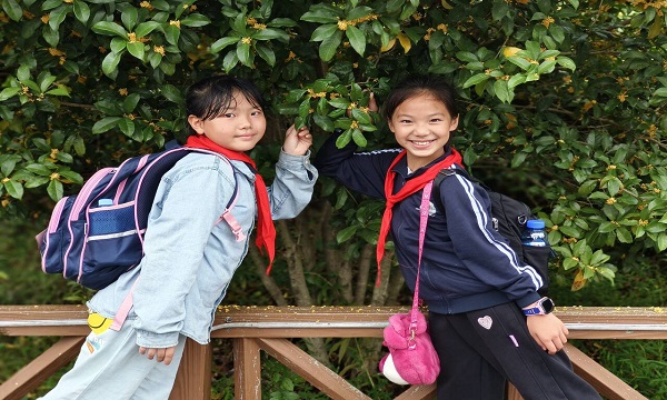 Cache_2be929957ed085b8.jpg
