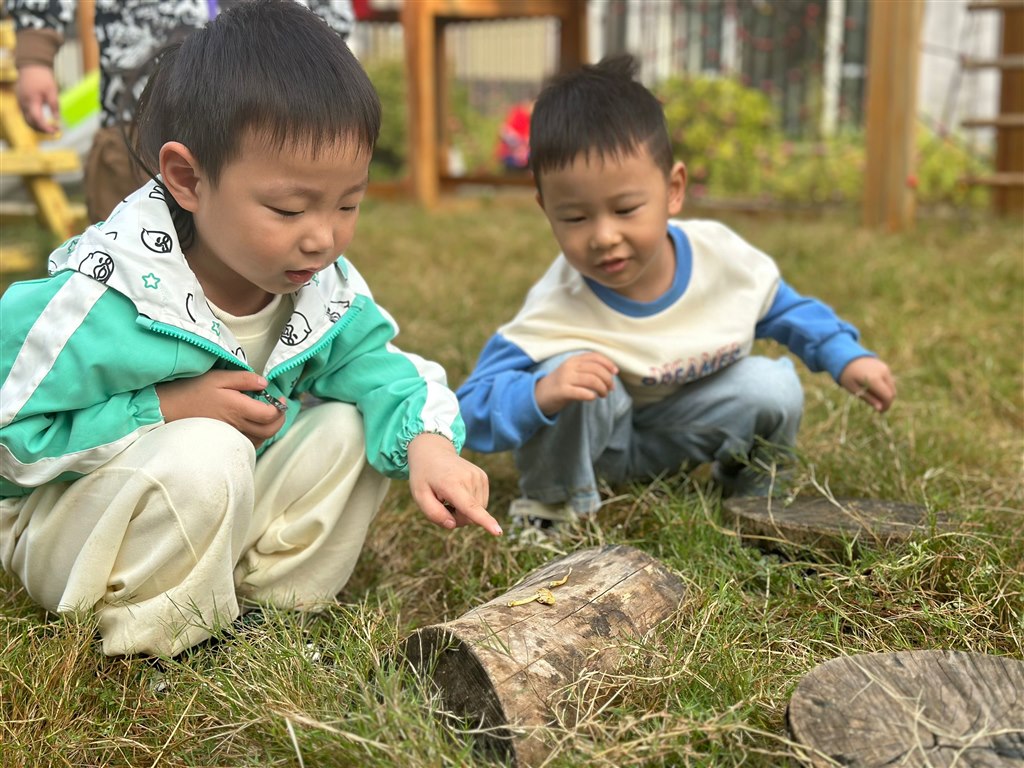 QQ图片20241015221451.jpg