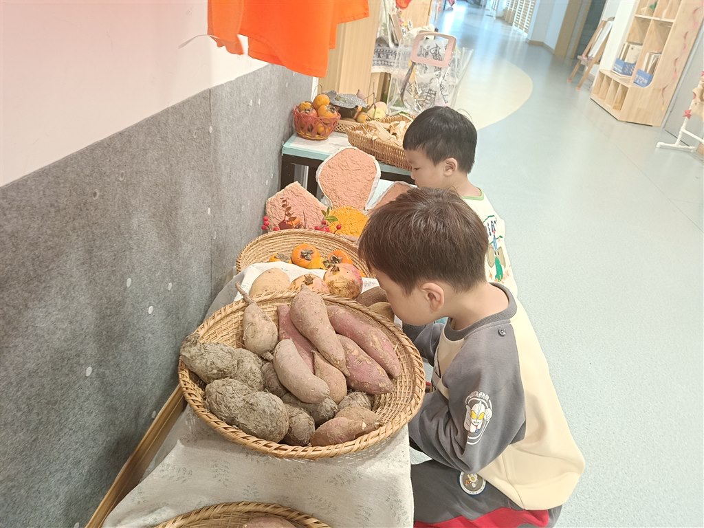 IMG20241016150441.jpg
