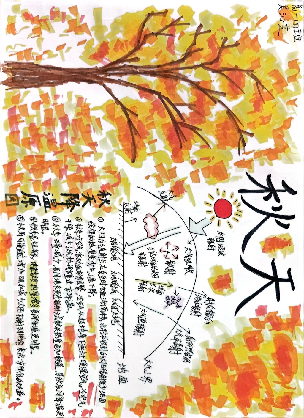 秋知识科普报 高一5班 吴沁芝.jpg