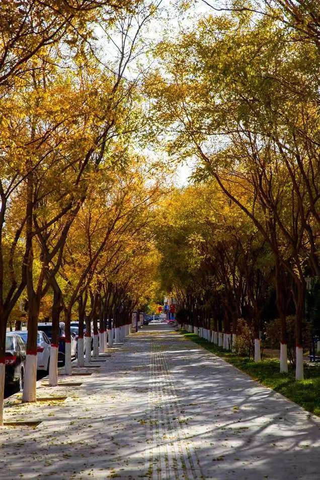 秋景照片 供稿人:高一1班 辛怡.jpg