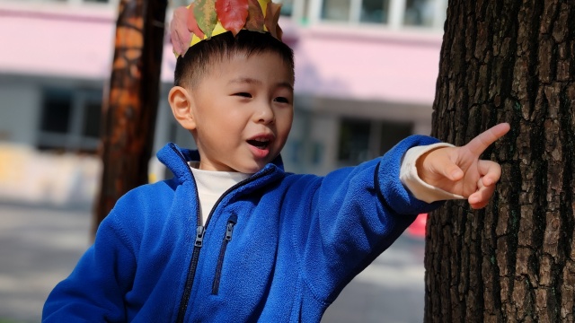 IMG_20241024_104540_副本.jpg