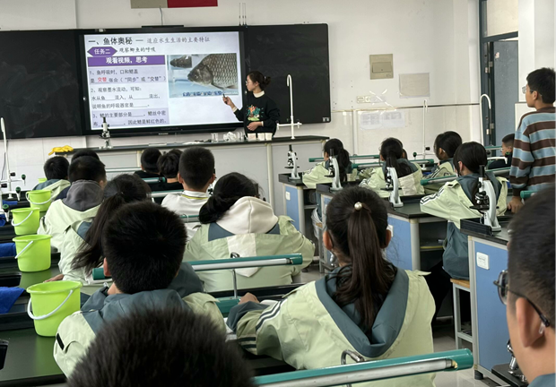 李佳佳.png