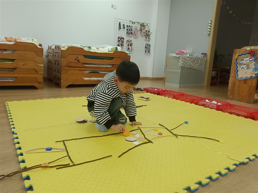 IMG20241115080539.jpg