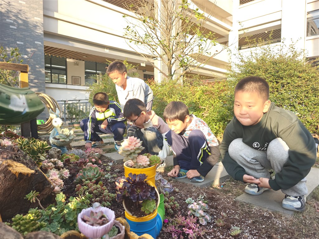 a68ef3199d0c516891491e7cde375c4.jpg