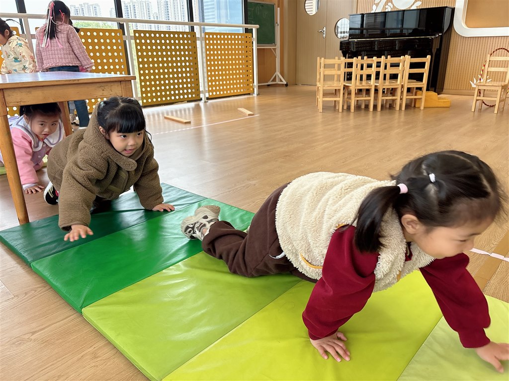 faceu_1731896715524.JPG