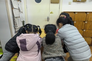 IMG20241125095213.jpg