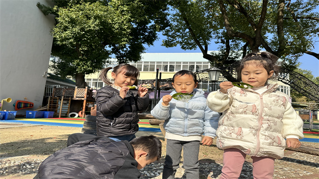 树叶泡泡5.jpg