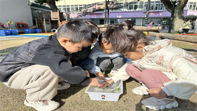 树叶泡泡4.jpg