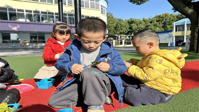 树叶泡泡3.jpg