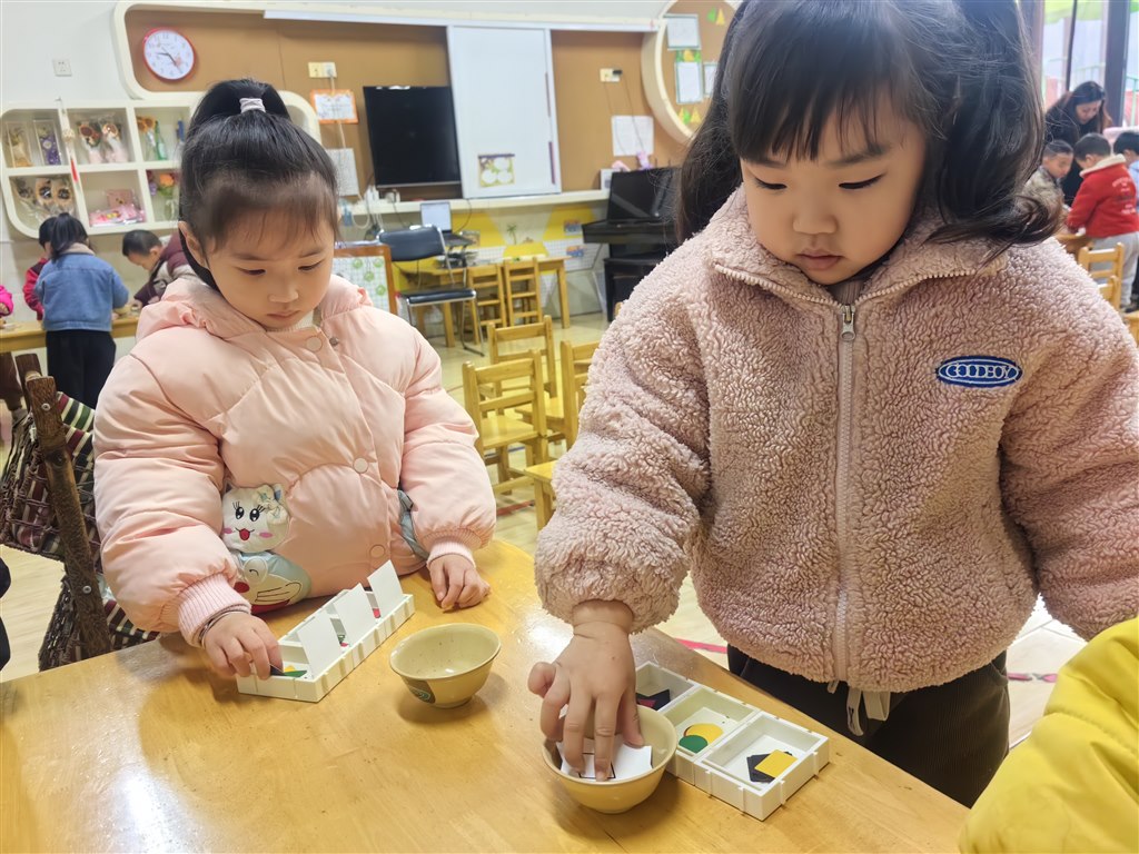 IMG_20241205_092653.jpg IMG_20241205_092653.jpg