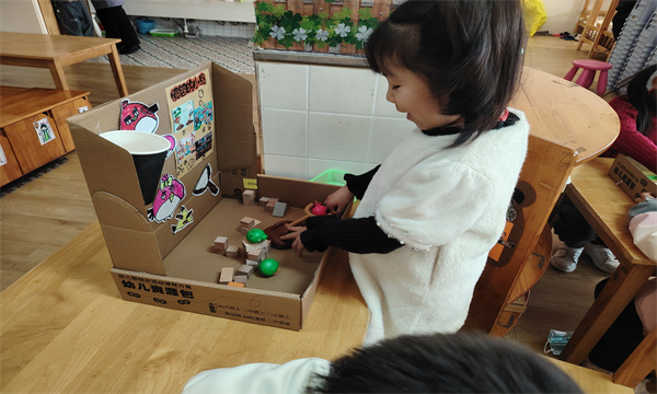IMG_20241129_143345.jpg