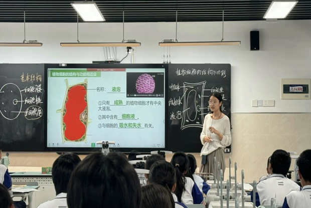 图片2_副本.png