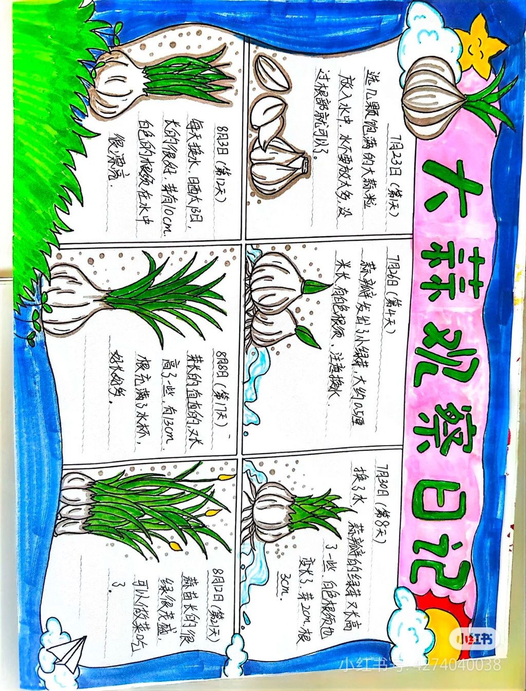 种植日记.jpg