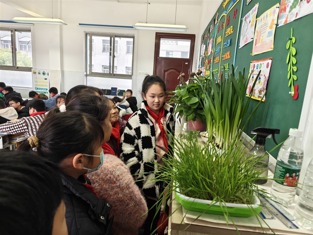 种植日记 (3).jpg