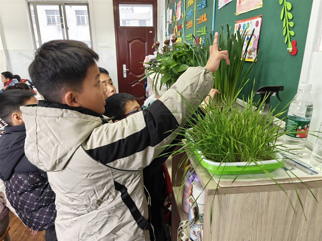 种植日记 (2).jpg