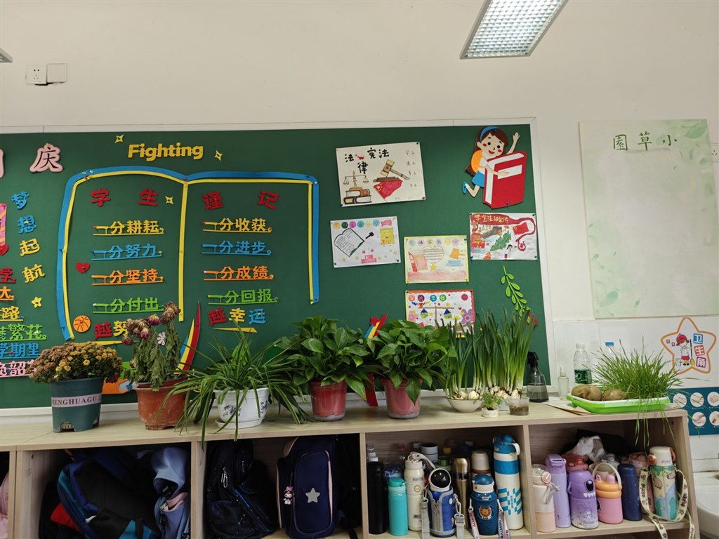 班级植物角.jpg