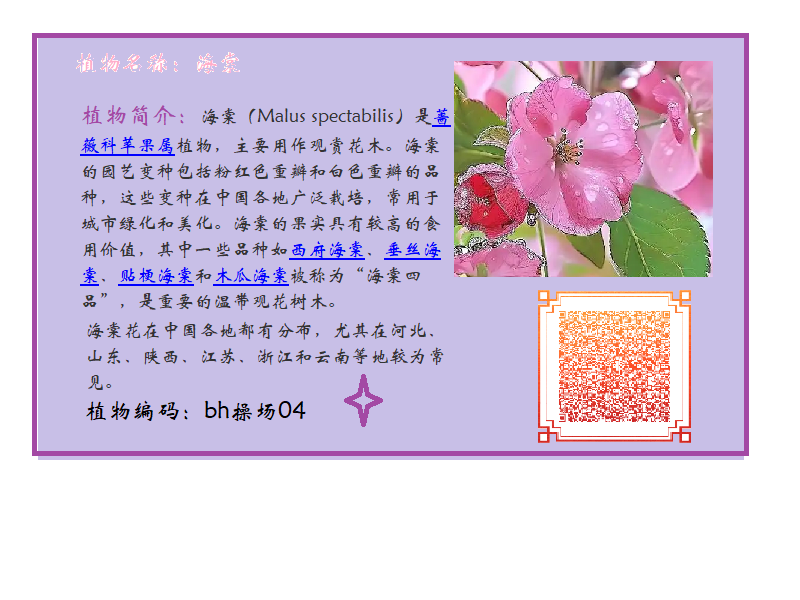 娄泽惠.png