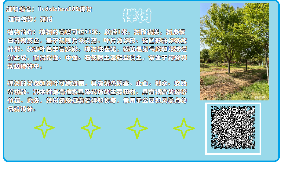 刘戴辰.png