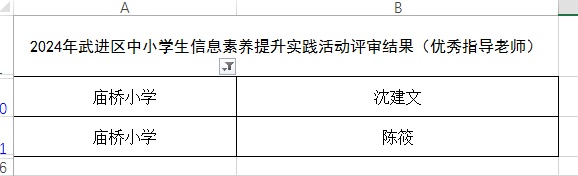 优秀指导老师.png