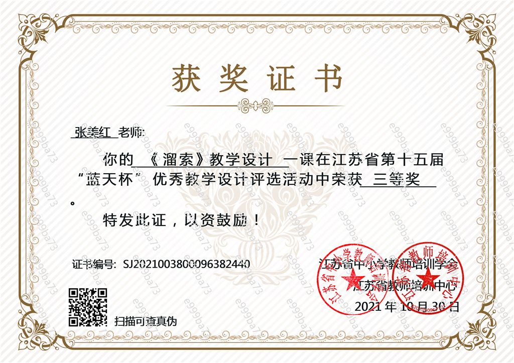 张美红语文蓝天杯三等奖.png