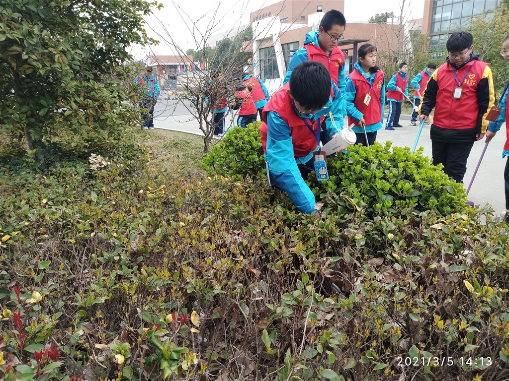 IMG_20210305_141318.jpg