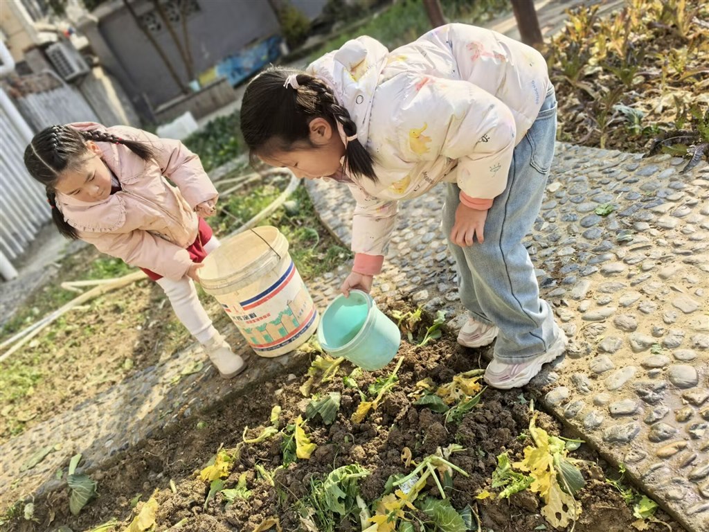 土豆4.jpg