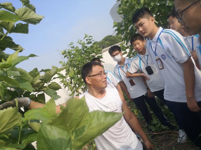 修剪枝叶 (1).jpg