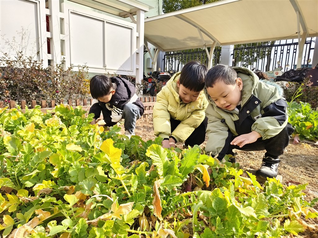 IMG_20250217_095738.jpg IMG_20250217_095738.jpg