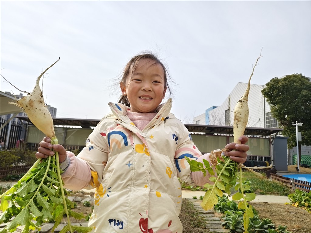 IMG_20250217_100626.jpg IMG_20250217_100626.jpg