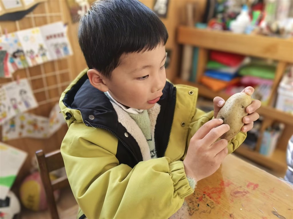 土豆2.jpg 土豆2.jpg