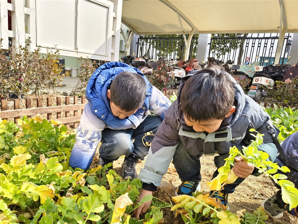 IMG_20250217_100153.jpg IMG_20250217_100153.jpg