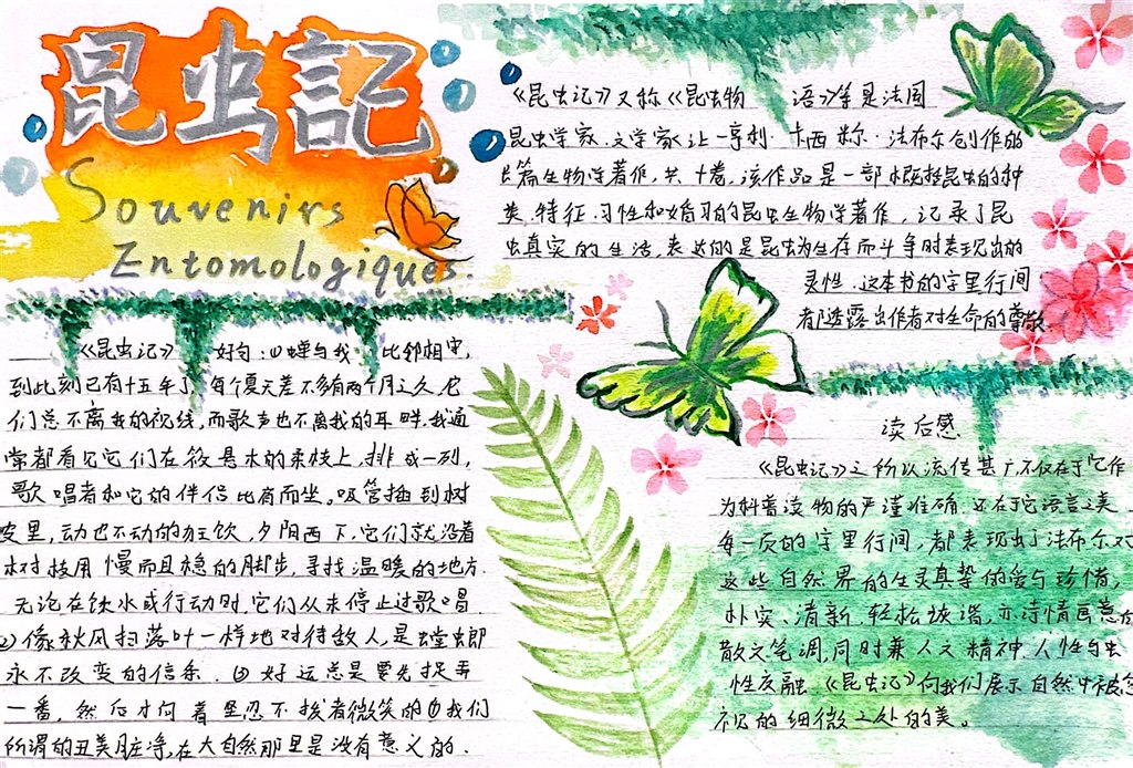 八（1）班杨若茜.JPG