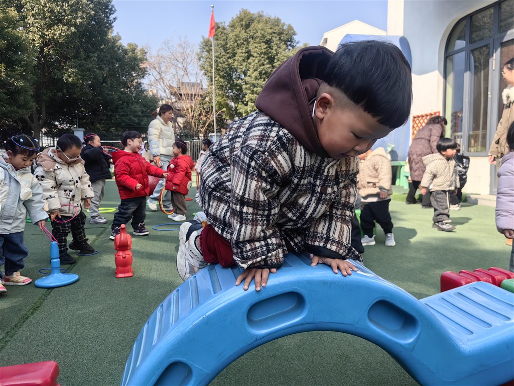 IMG_20250224_102542.jpg IMG_20250224_102542.jpg