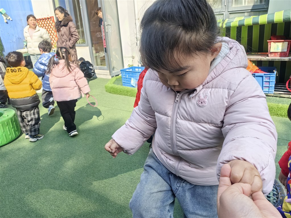 IMG_20250224_102627.jpg IMG_20250224_102627.jpg