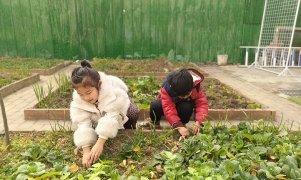 1e07048e814540cf9c0eb35a983624e9_副本.png