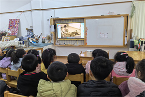 IMG_20250313_094542_副本.jpg