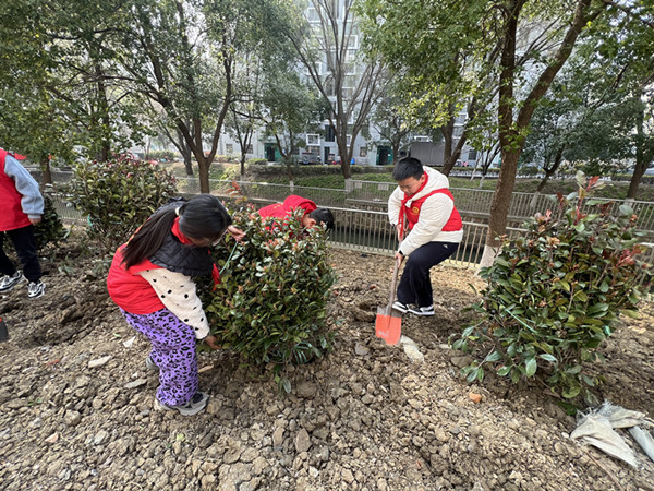 植树.jpg 植树.jpg