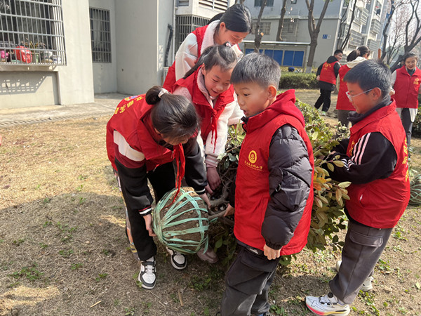 抬树.jpg 抬树.jpg