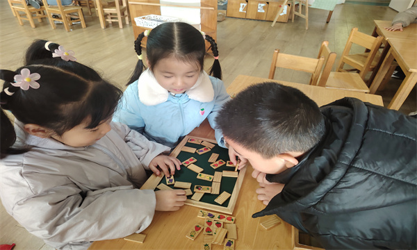 IMG_20250217_085039.jpg