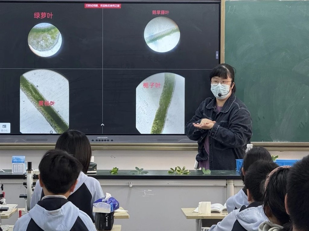 黄.jpg