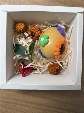 青藤红学院丨一次