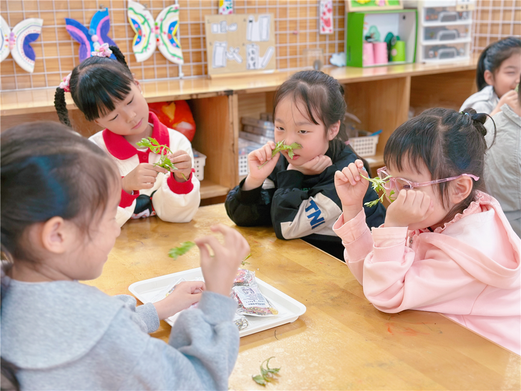 图片8.png 图片8.png