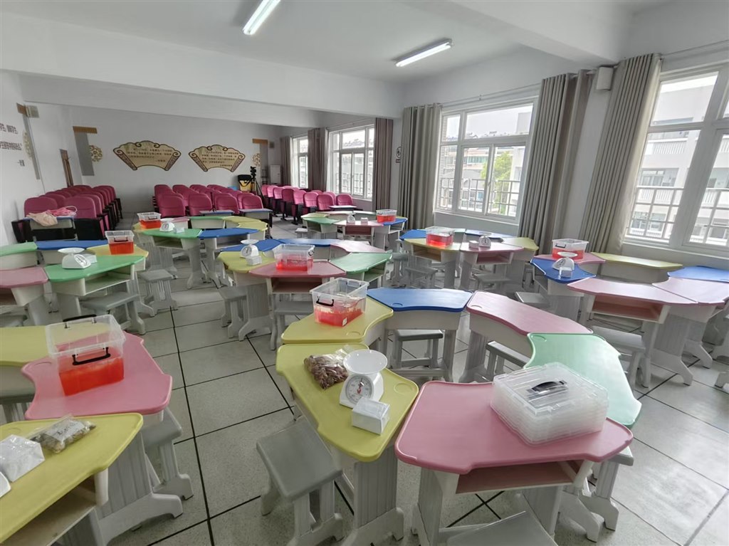 3月（1）趣味数学留影.jpg