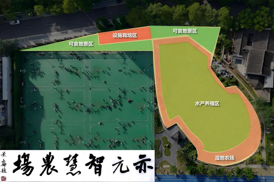 图片10.png