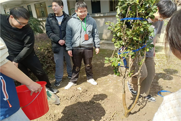 同学为小树填土.jpg