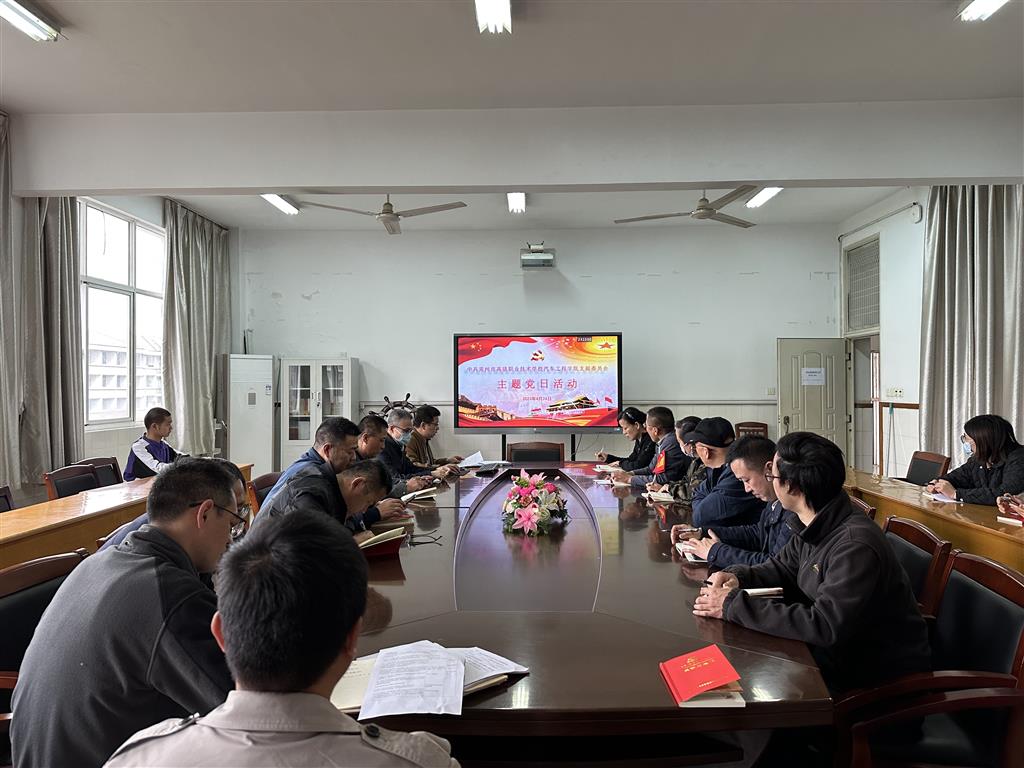 主题党日会场全景.png