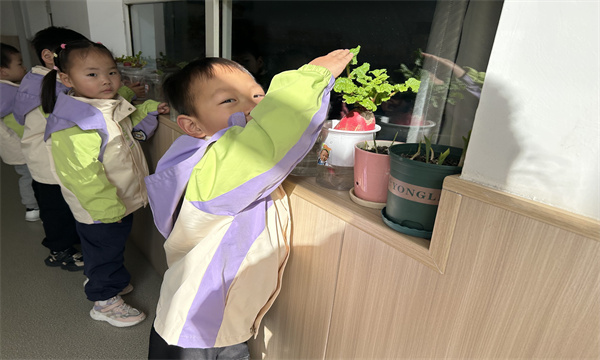 QQ图片20250512130542.jpg